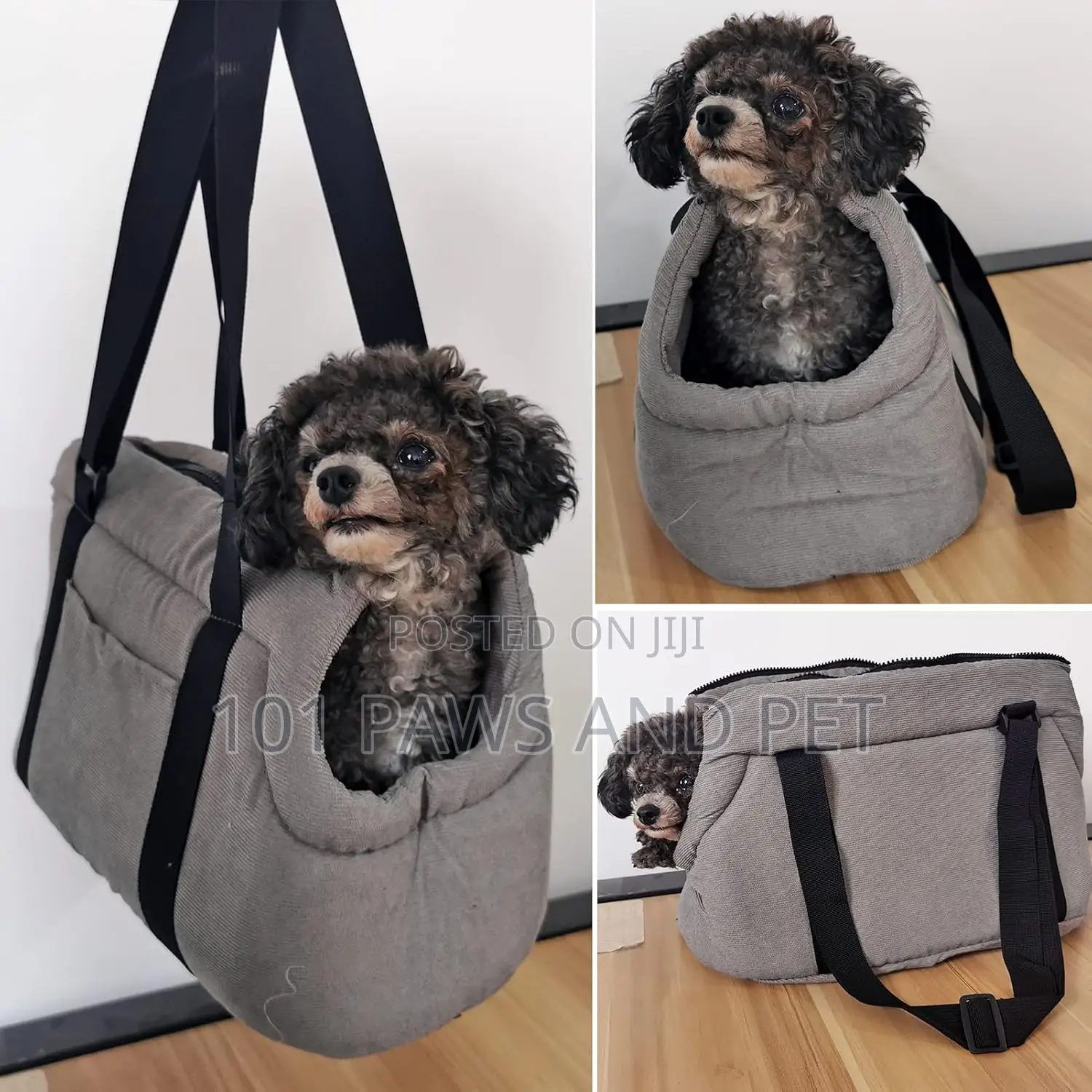 Dog and Cat Carrier