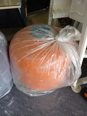 ‘25 Inches Swimming Pool Filter