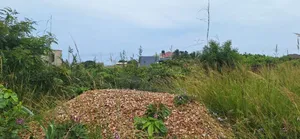 Trending Promo Offers on Lands at Tema Community 25