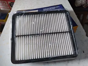 Kia Air Filter