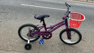 Bicycle Kid