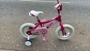 Bicycle Kid