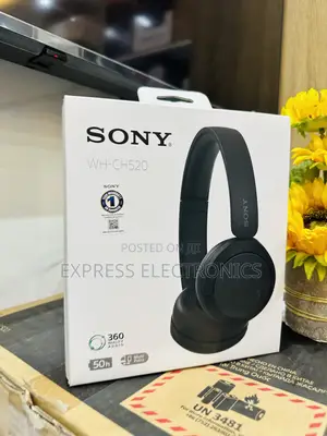 Highly Recommended Sony WH-CH520 Headset
