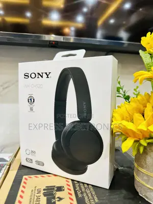 High Performance Headset Sony WH-CH520