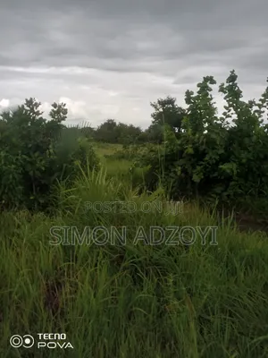 20,000+ Acres Farm Land Available For