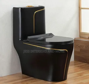 Toilet Bowl/ Water Closet(Black)
