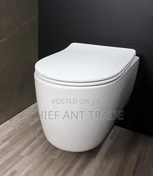 Hung Wc. Concealed Toilet Seat. Wall Water Closet. 625+G8601