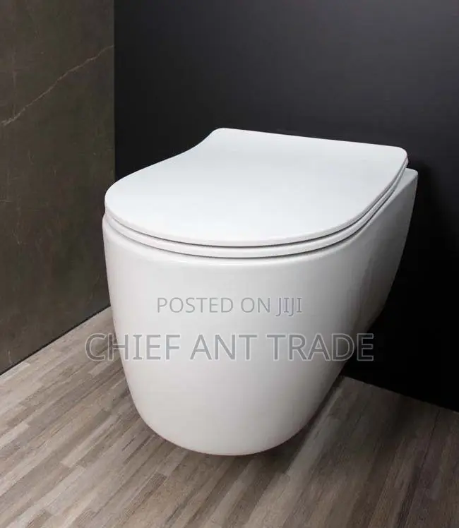 Hung Wc. Concealed Toilet Seat. Wall Water Closet. 625+G8601