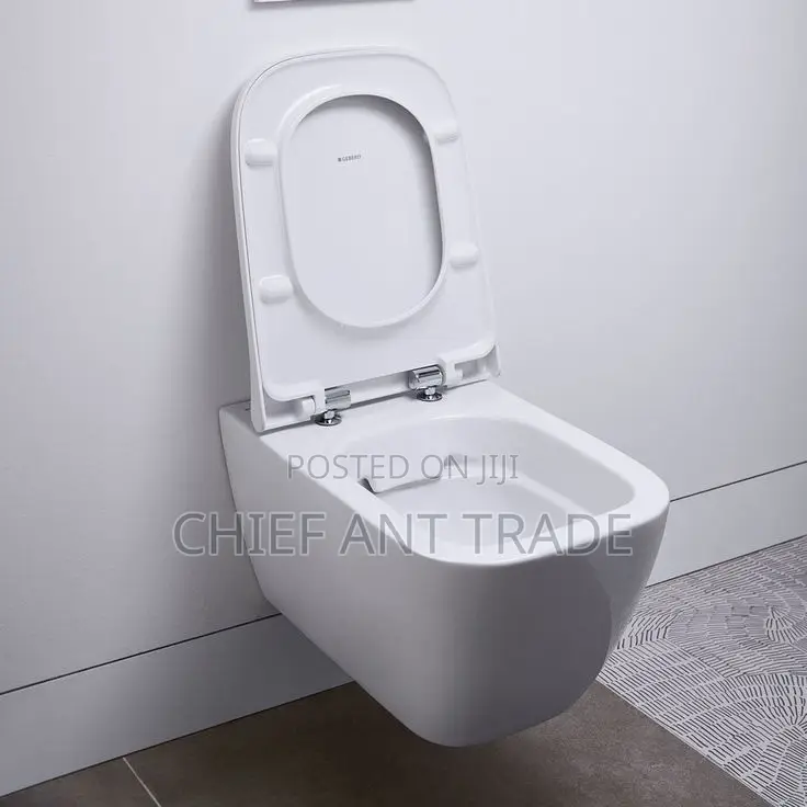 Hung Wc. Concealed Toilet Seat. Wall Water Closet. 625+G8601