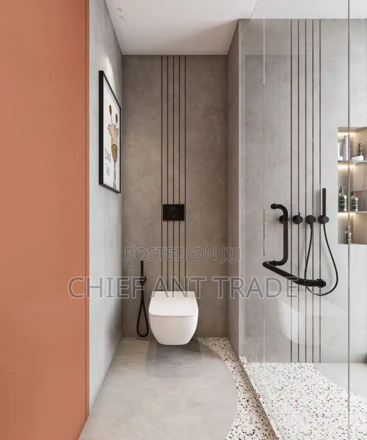 Hung Wc. Concealed Toilet Seat. Wall Water Closet. 625+G8601