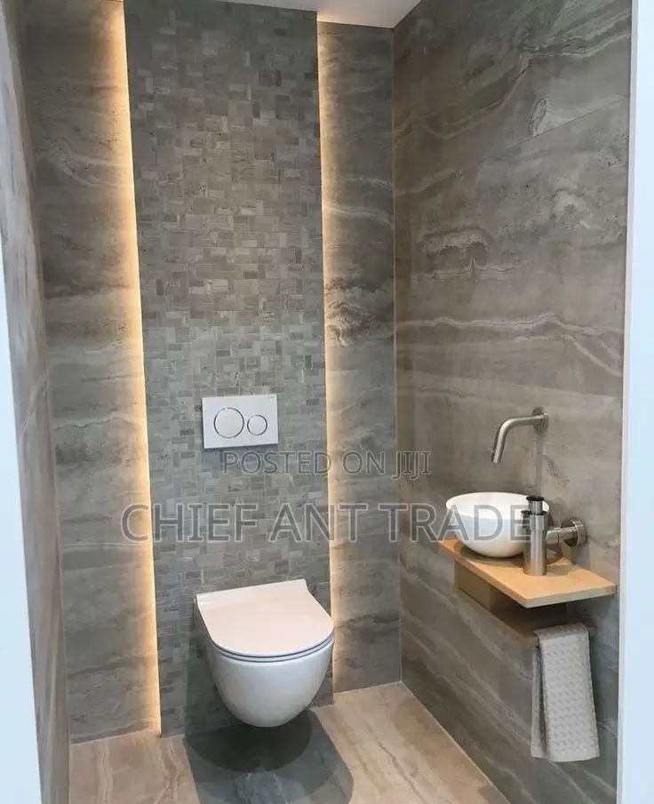 Hung Wc. Concealed Toilet Seat. Wall Water Closet. 625+G8601