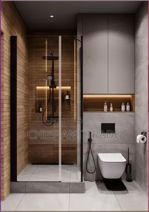 Hung Wc. Concealed Toilet Seat. Wall Water Closet. 625+G8601