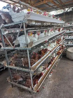 Battery Cage