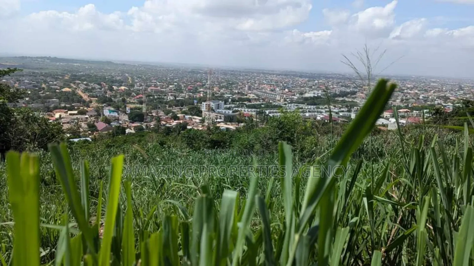 8 Acres of Land at Ayi Mensah