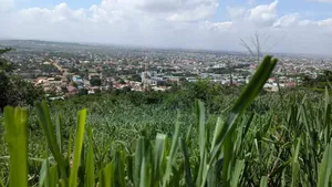 8 Acres of Land at Ayi Mensah