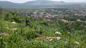 8 Acres of Land at Ayi Mensah