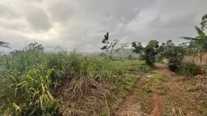 5 Plots of Land at Aburi