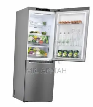 Quality LG GC-B399NLJM 306L Bottom Freezer Fridge(Gray) 