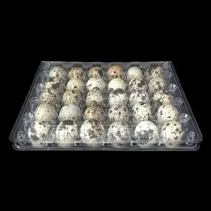 Quail Egg Crates
