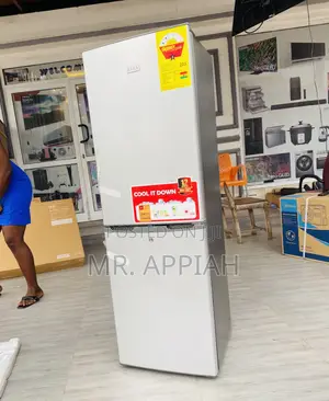 Sleek Zara 40bf ,300L Double Door Electric Refrigerator 