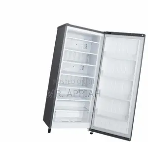 Shop Original Lg GN-304SLS Upright Electric Freezer(168L).