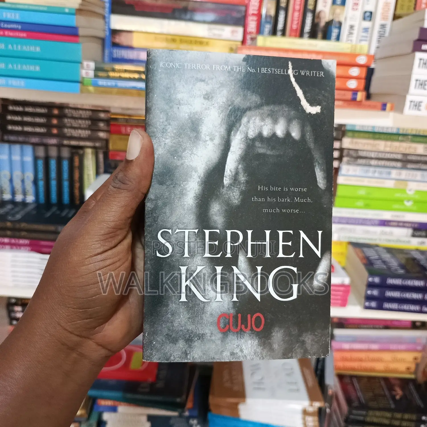 Crime and Fantasy Novels