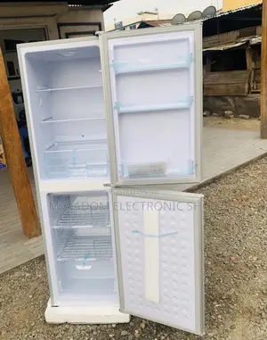 Shop Nasco D2-20 Double Door Electric Fridge 
