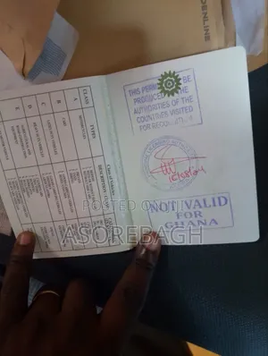 International Driver's Permit