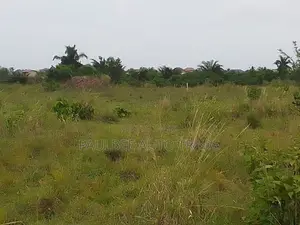 Land for Mining Gold and Diamond for Rent