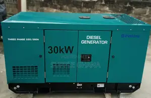Complete 30kva Generator Perkins Diesel Generator Standard