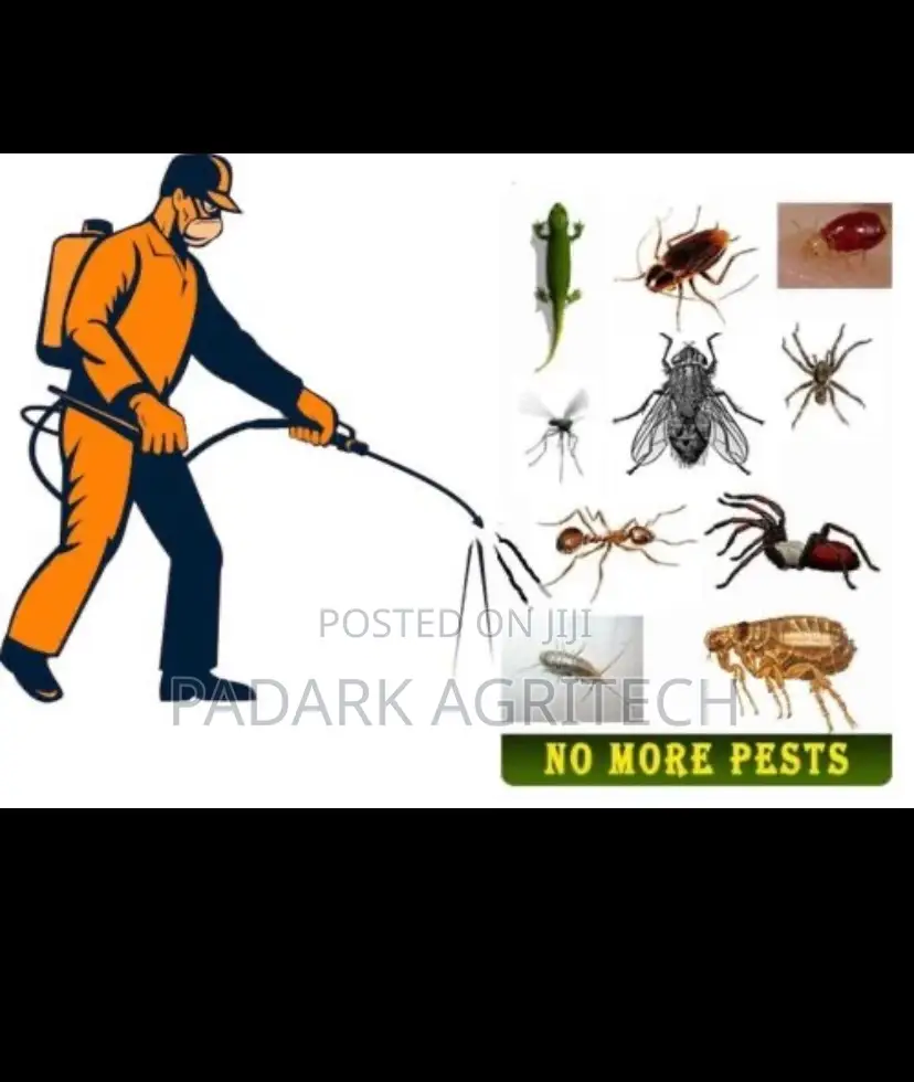 Pest Control Services