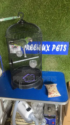 1 Cage / 1 Jardine / Feed