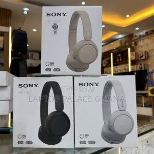 Sony Wh-Ch520