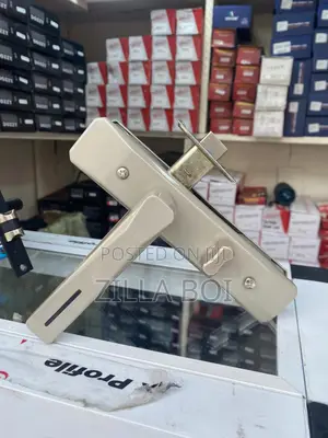 Bathroom Door Locks
