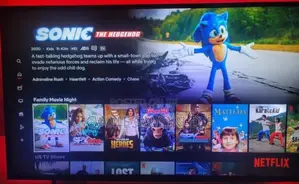 Netflix Account 1 Month Subscription