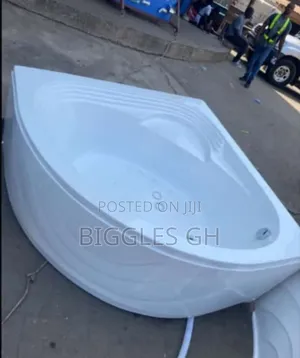Bathtub With Panel