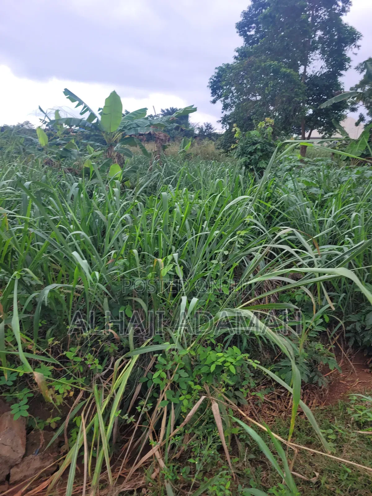 Two Plots of Land for Sale at Santa'si Darko