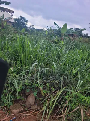 Two Plots of Land for Sale at Santa'si Darko