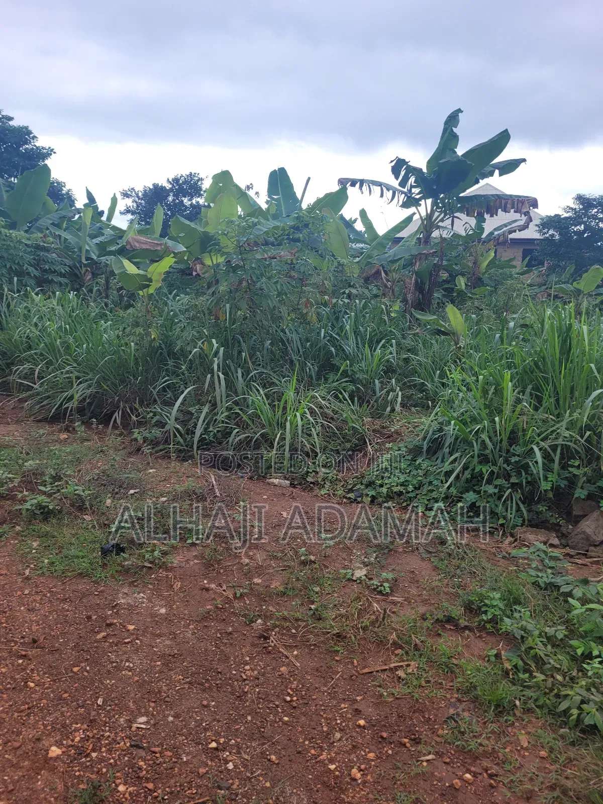 Two Plots of Land for Sale at Santa'si Darko