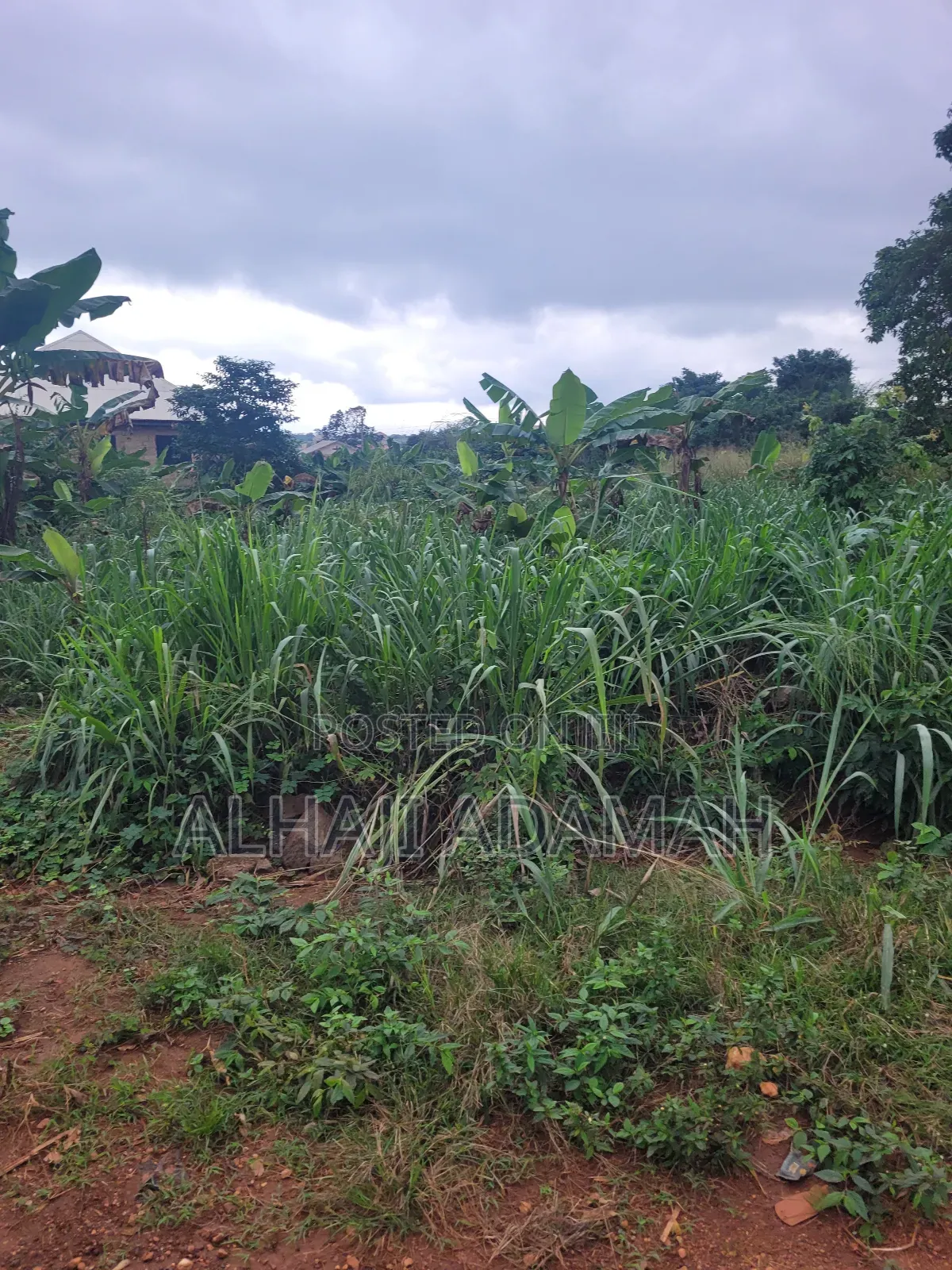 Two Plots of Land for Sale at Santa'si Darko