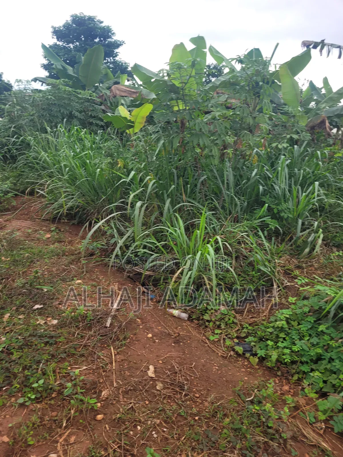 Two Plots of Land for Sale at Santa'si Darko