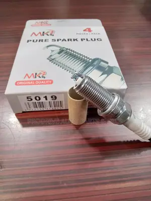 The MK24 5019 Spark Plug