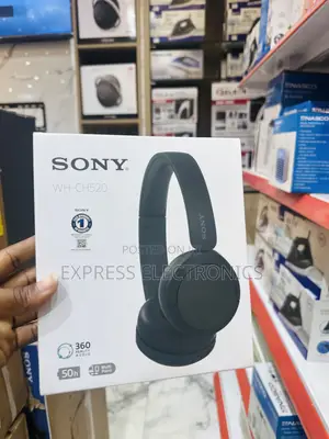Less Expensive Sony WH-CH520 Headset 