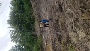 A Surveyor, Deals in Selling and Buying