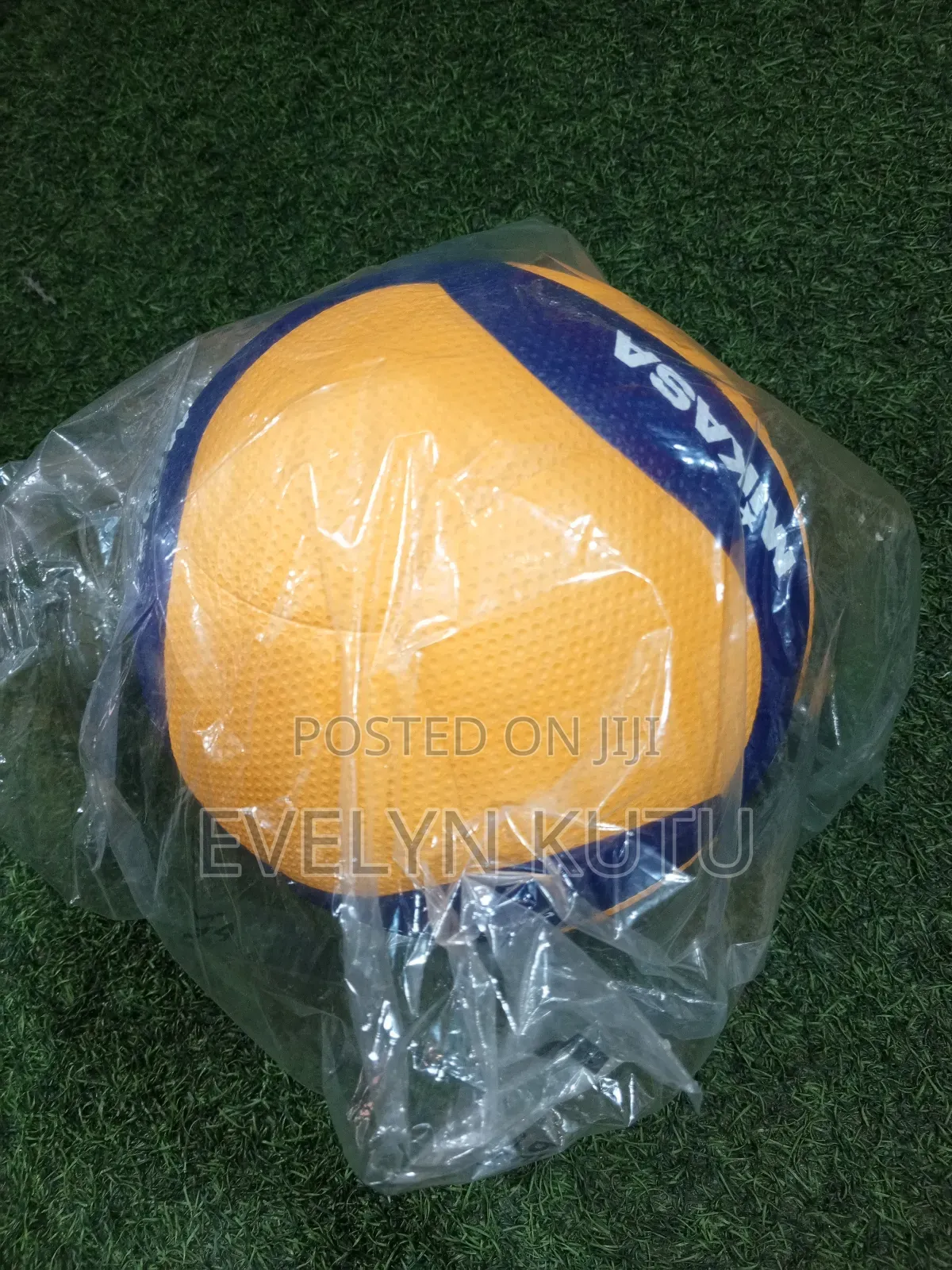 Volleyball