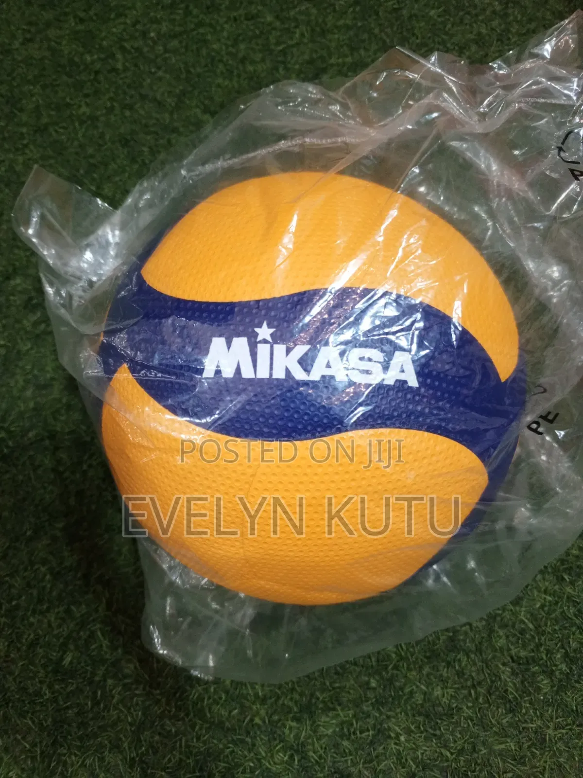 Volleyball