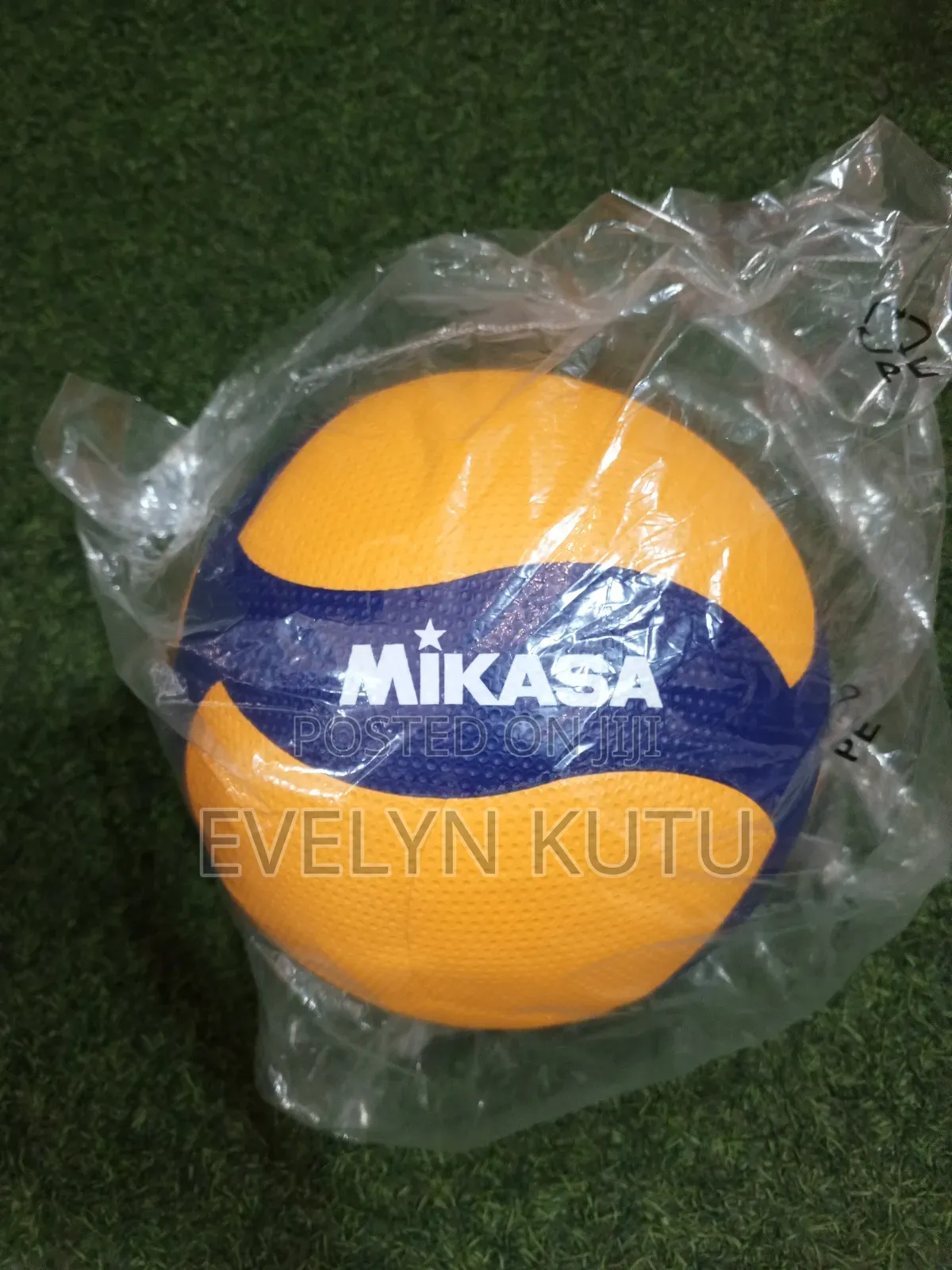 Volleyball