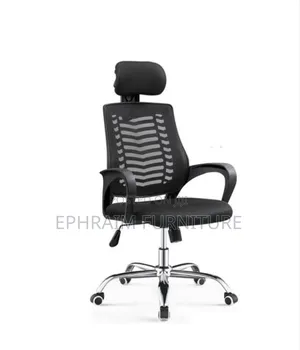 Swevil Chair for Office and Home