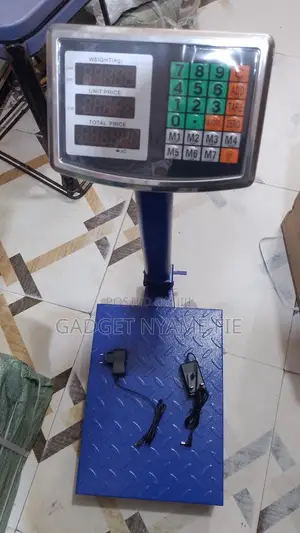 Electronic Digital Price Computing Platform Scale 100kg