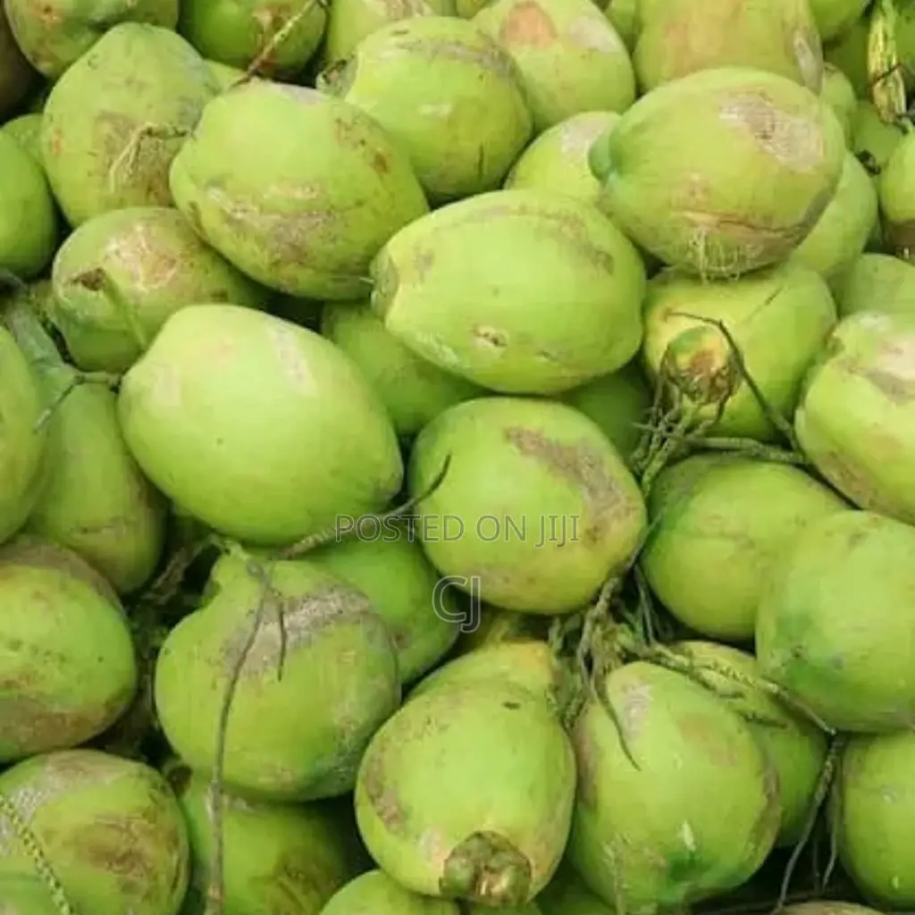 Fresh Coconut For Sale